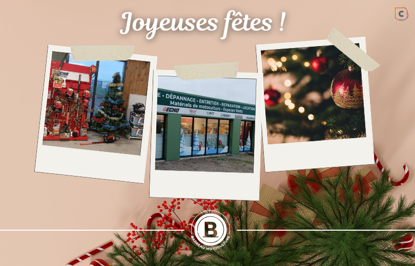 joyeuses-fetes-vig.jpg